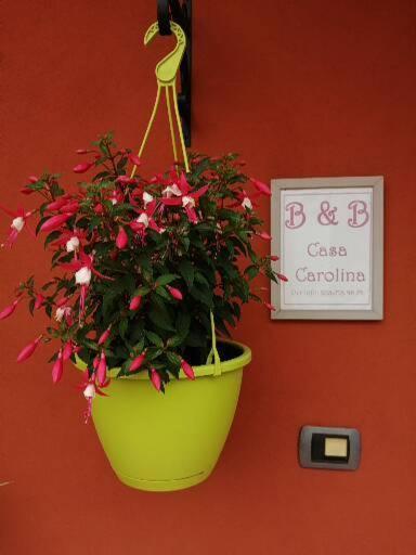 Bed and Breakfast Casa Carolina Castellinaldo Exterior foto
