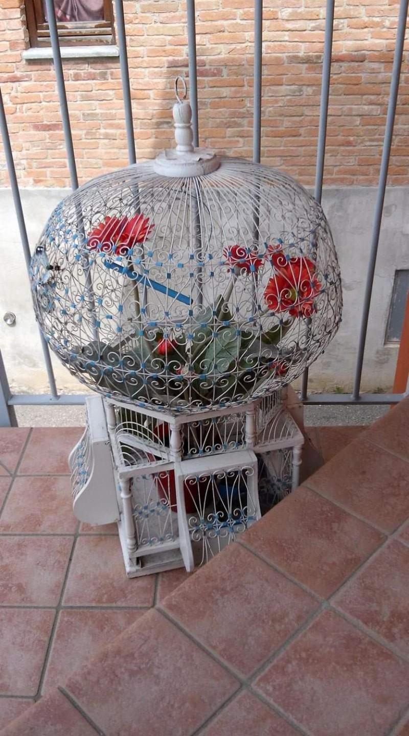 Bed and Breakfast Casa Carolina Castellinaldo Exterior foto