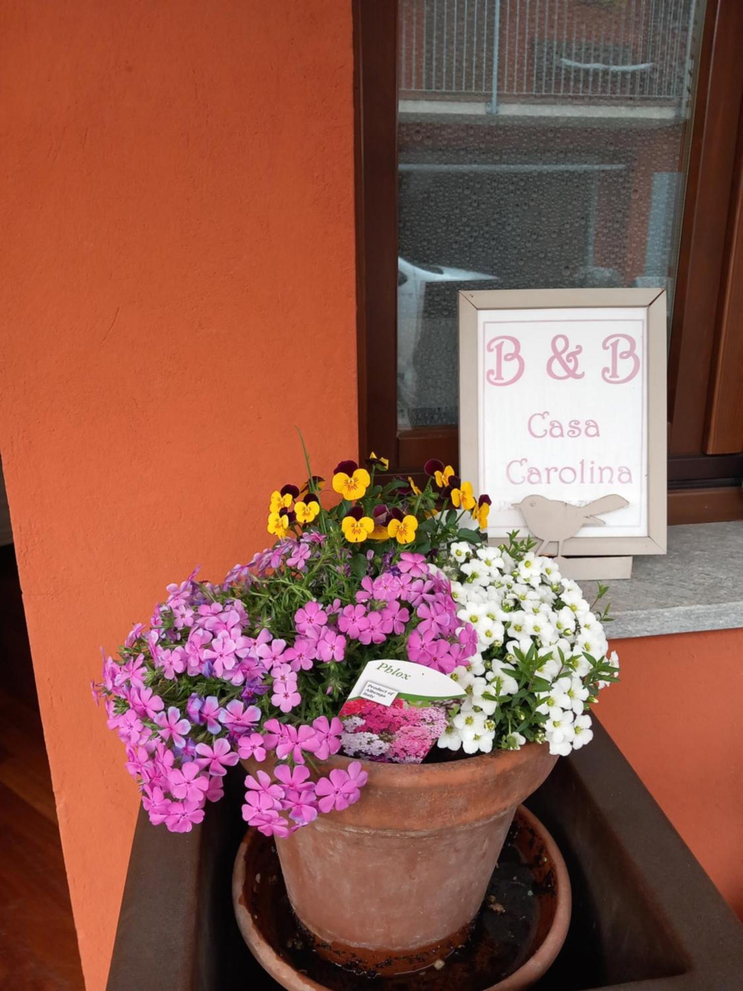 Bed and Breakfast Casa Carolina Castellinaldo Exterior foto