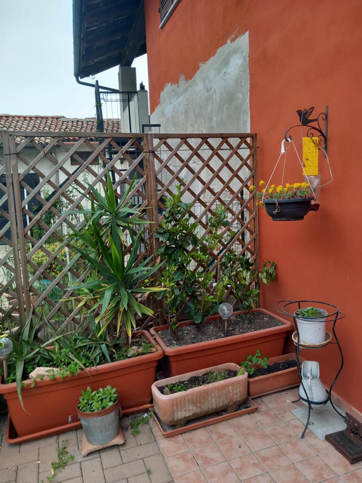 Bed and Breakfast Casa Carolina Castellinaldo Exterior foto